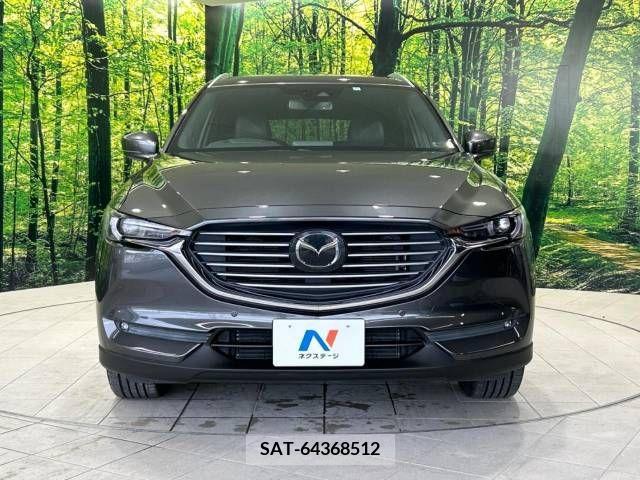 Mazda CX-8 2018-03 212289-14