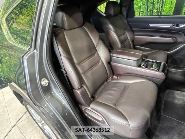 Mazda CX-8 2018-03 212289-8