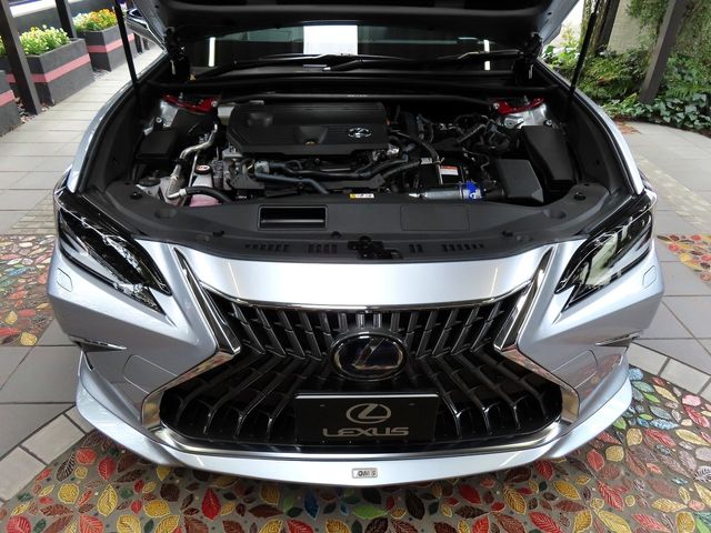 Lexus ES 2021-11 185474-26
