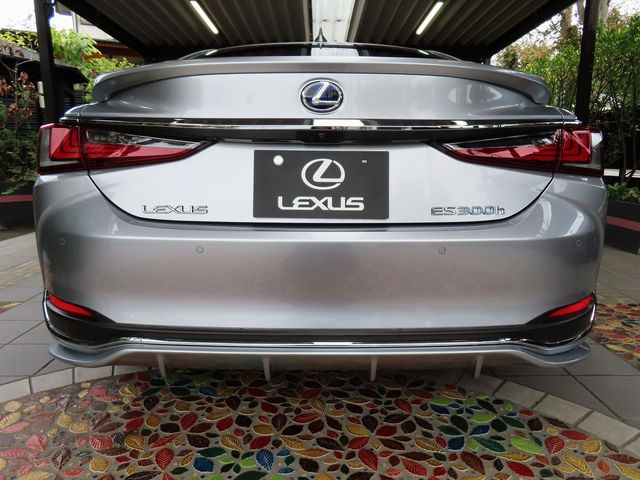 Lexus ES 2021-11 185474-4