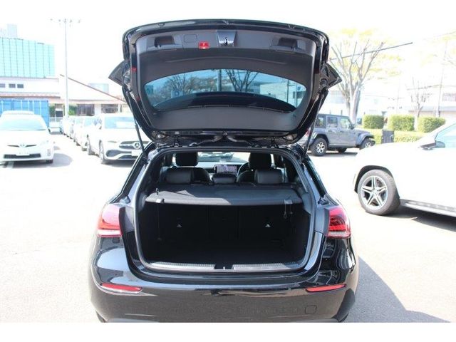 Mercedes Benz A-CLASS 2019-03 3002-6