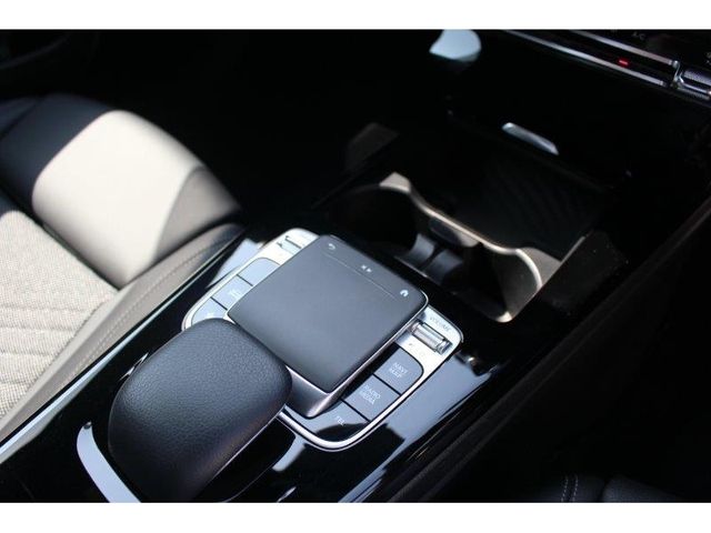 Mercedes Benz A-CLASS 2019-03 3002-19