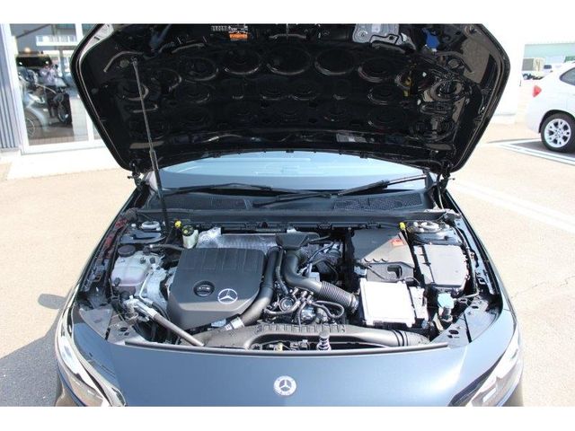 Mercedes Benz A-CLASS 2019-03 3002-8