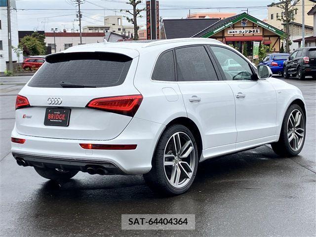 Audi SQ5 2016-06 331342-6