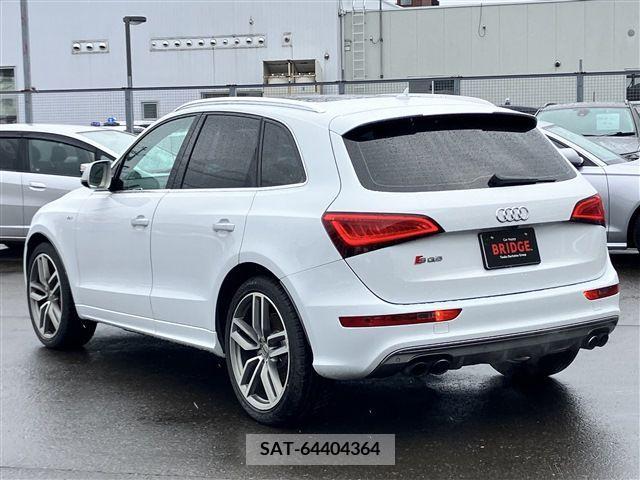 Audi SQ5 2016-06 331342-4