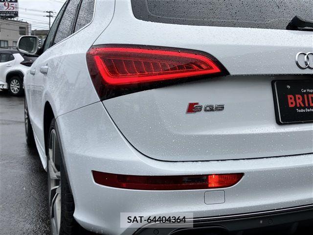 Audi SQ5 2016-06 331342-12