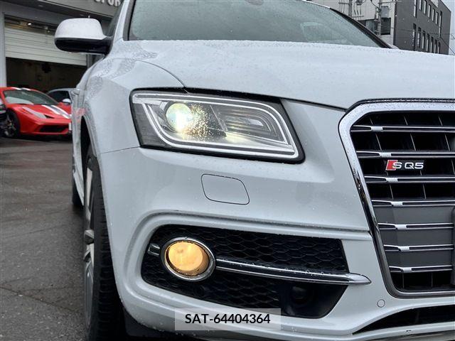 Audi SQ5 2016-06 331342-11