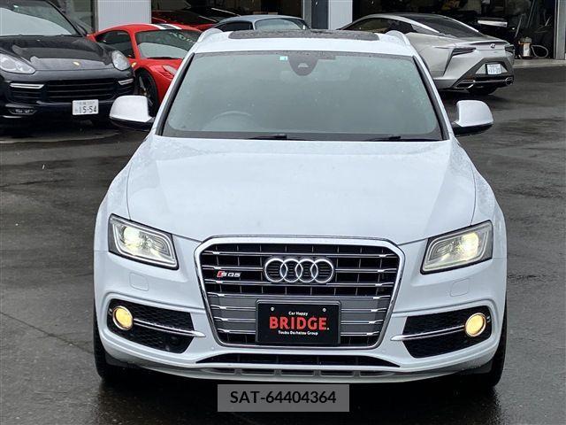 Audi SQ5 2016-06 331342-9