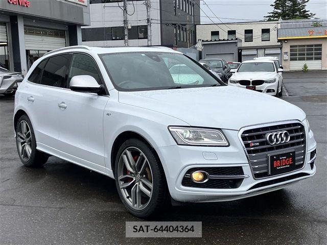 Audi SQ5 2016-06 331342-8