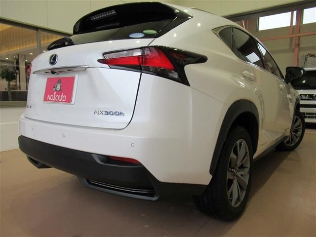 Lexus NX 2015-05 1430-4