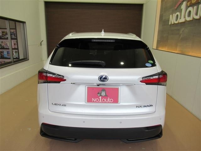 Lexus NX 2015-05 1430-6