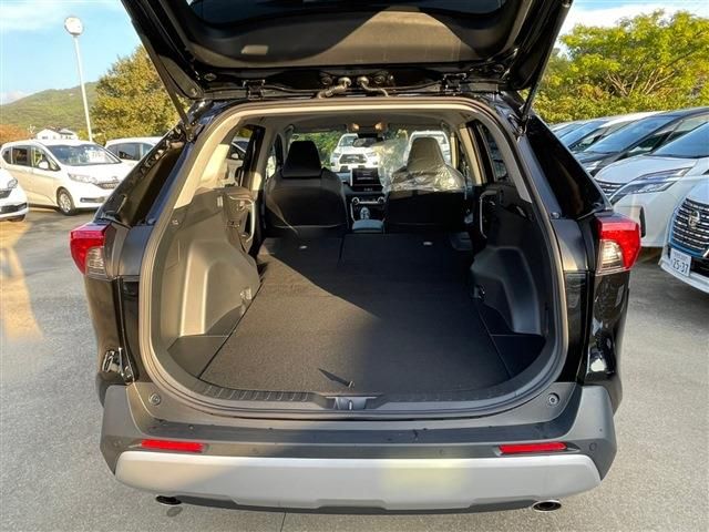 Toyota RAV4 2020-01 183855-4