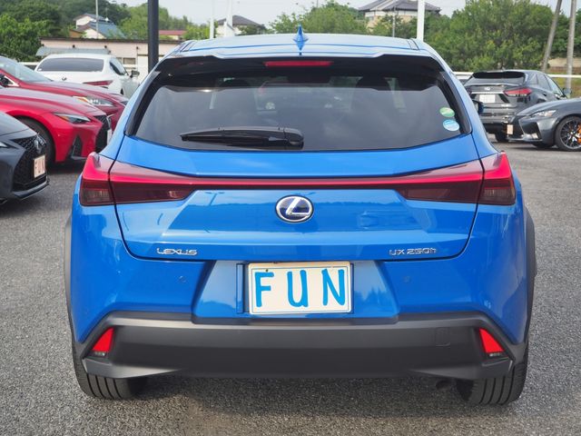 Lexus UX 2020-05 2595-6