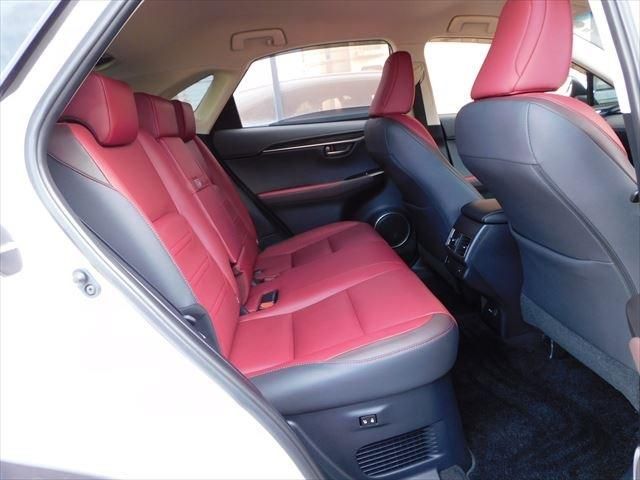 Lexus NX 2019-01 194723-15