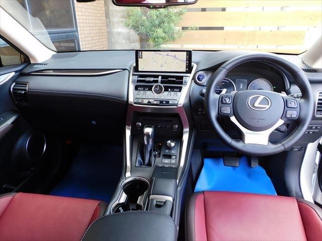 Lexus NX 2019-01 194723-11