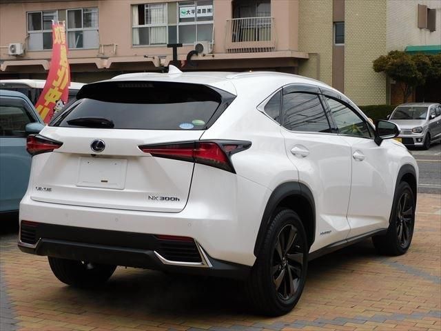 Lexus NX 2019-01 194723-2