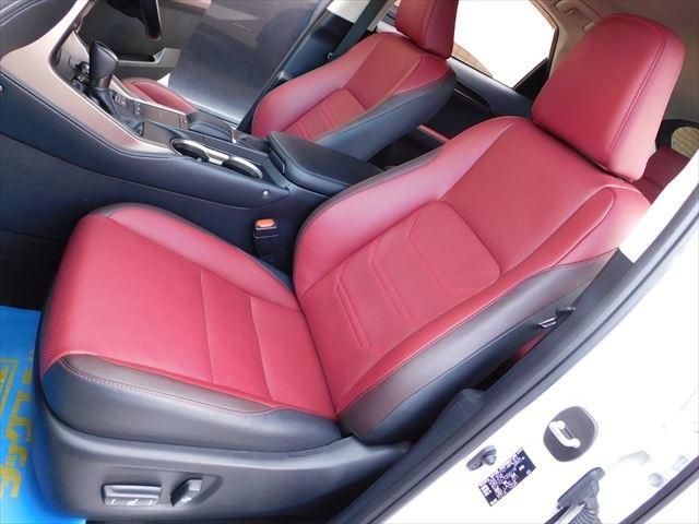 Lexus NX 2019-01 194723-14
