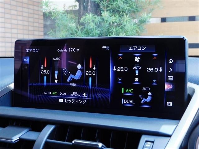 Lexus NX 2019-01 194723-21