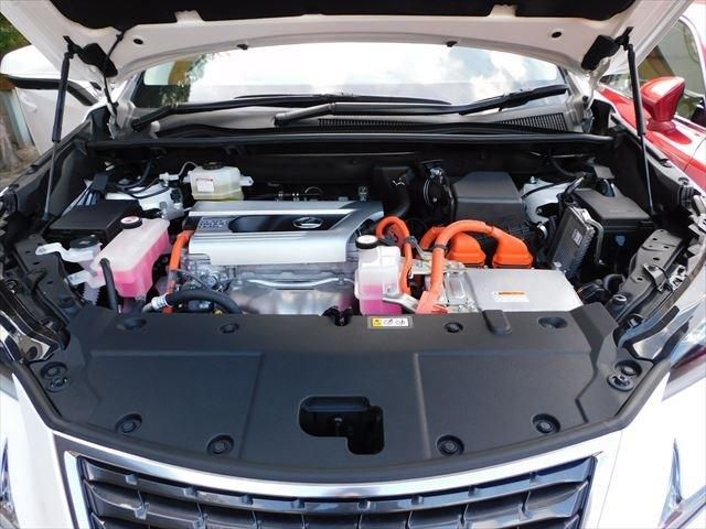 Lexus NX 2019-01 194723-10