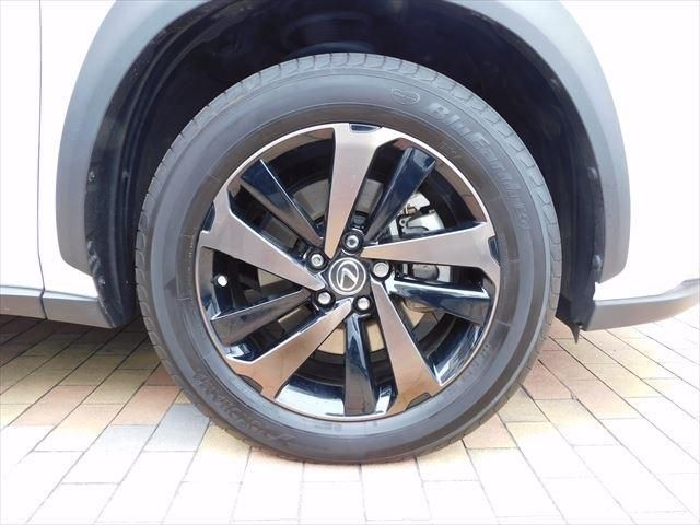 Lexus NX 2019-01 194723-7