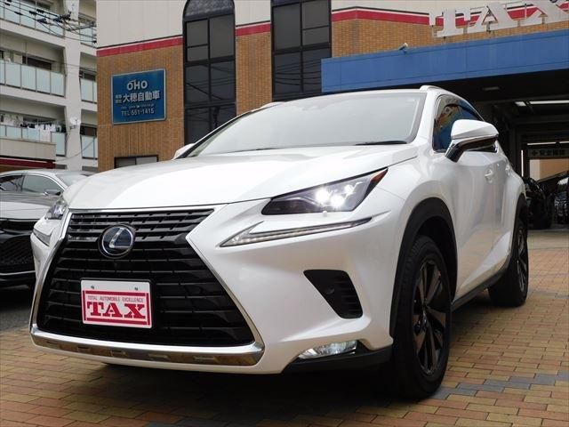 Lexus NX 2019-01 194723-6