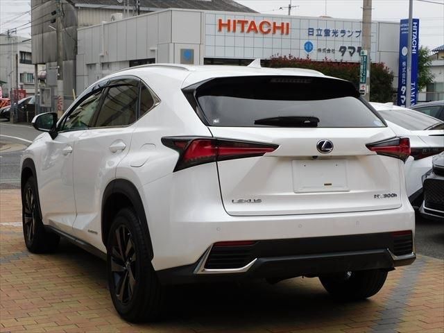 Lexus NX 2019-01 194723-3