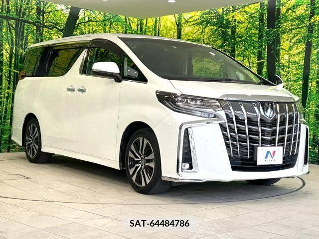 Toyota ALPHARD 2019-12 355531-17