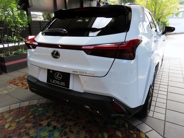Lexus UX 2023-08 22991-8