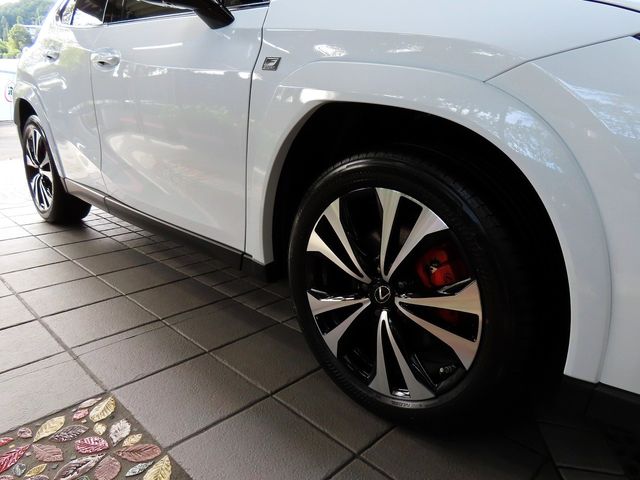 Lexus UX 2023-08 22991-10