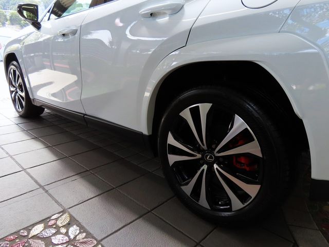 Lexus UX 2023-08 22991-12