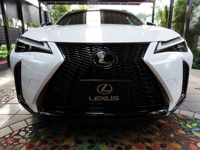 Lexus UX 2023-08 22991-4
