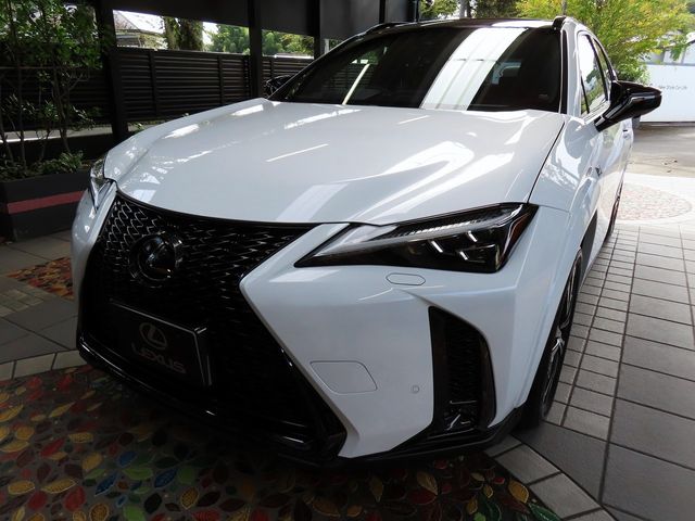Lexus UX 2023-08 22991-7