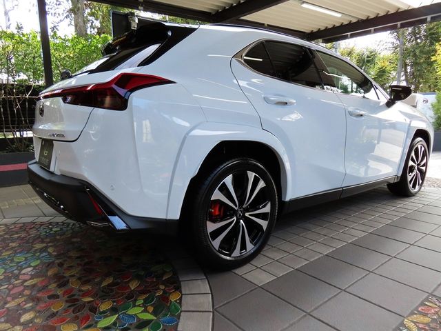 Lexus UX 2023-08 22991-16