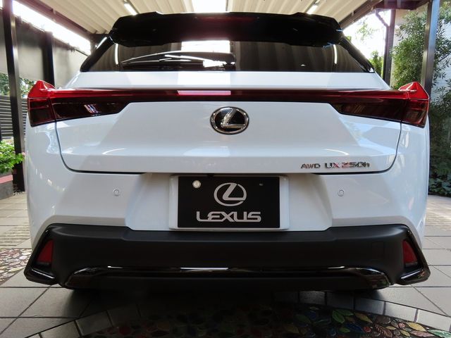 Lexus UX 2023-08 22991-5