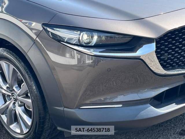 Mazda CX-30 2020-01 377635-12