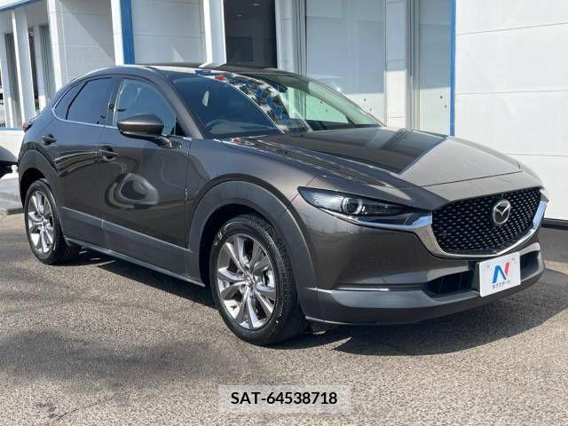 Mazda CX-30 2020-01 377635-16