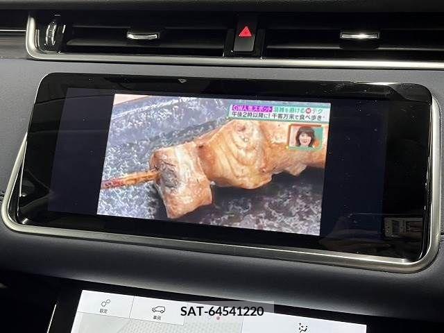 ROVER RANGE ROVER 2019-05 245951-11