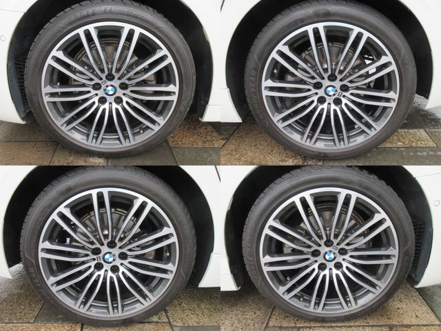 Bmw 5 SERIES 2019-02 17490-8