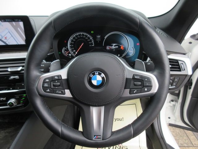 Bmw 5 SERIES 2019-02 17490-12