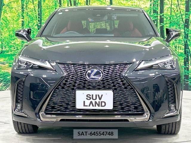 Lexus UX 2021-07 276981-13