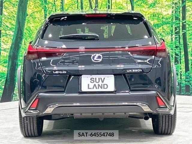Lexus UX 2021-07 276981-14