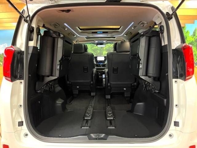 Toyota ALPHARD 2021-12 196684-11