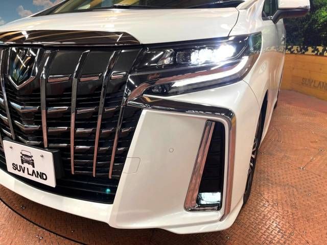 Toyota ALPHARD 2021-12 196684-13
