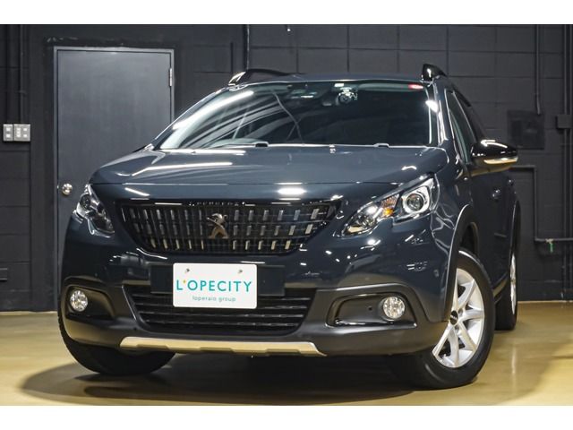 Peugeot 2008 2020-03 195011-0