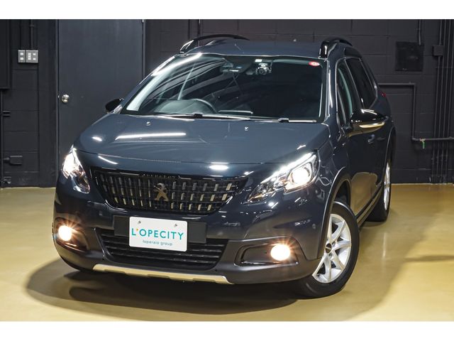Peugeot 2008 2020-03 195011-21