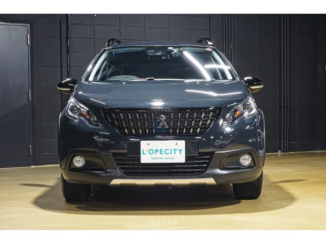Peugeot 2008 2020-03 195011-23