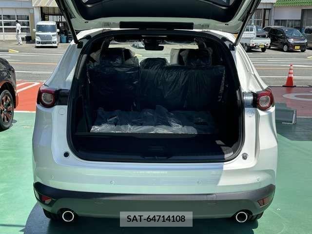 Mazda CX-8 2021-10 358795-13
