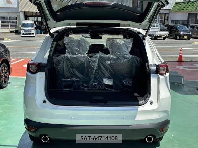 Mazda CX-8 2021-10 358795-12