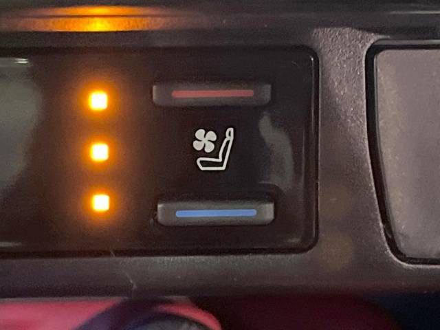Toyota RAV4 2021-06 184884-7
