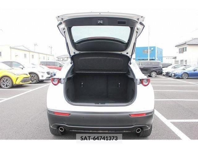 Mazda CX-30 2021-04 385948-9